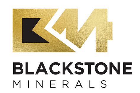 blackstone receives  refund  firms  cash position inn