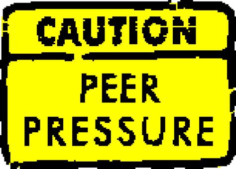 My Journal: "Negative Effects of Peer Pressure"