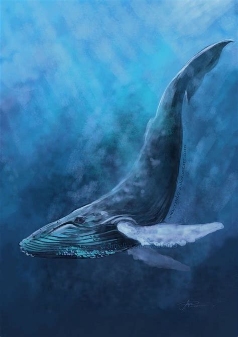 Pin On Blue Whale Art Hd Phone Wallpaper Pxfuel