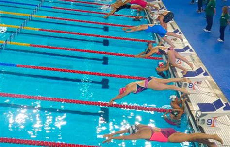 Federacion Rosario De Natacion Destacada Labor De Los Nadadores Master