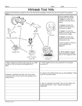 Wetland Food Web