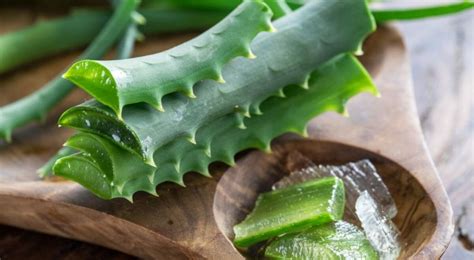 Ваша усадьба