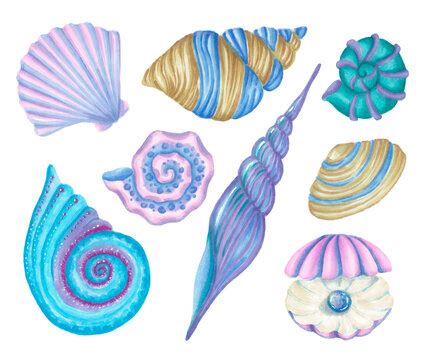 Clipart Shells