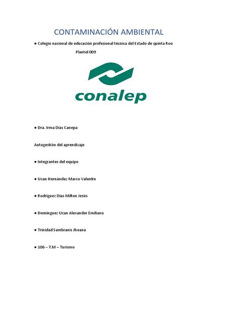 Proyecto De Contaminación Ambiental Pdf Contaminación Entorno Natural