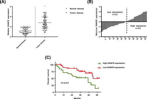 The Expression Of Dancr In Tnbc Patients A Dancr Was Up Regulated In