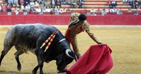 Tauromaquia El Ministerio De Cultura Sienta Las Primeras Medidas Del Plan Nacional De Tauromaquia