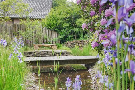 Tuin Met Inheemse Beplanting Janse En Berkhof Tuinen