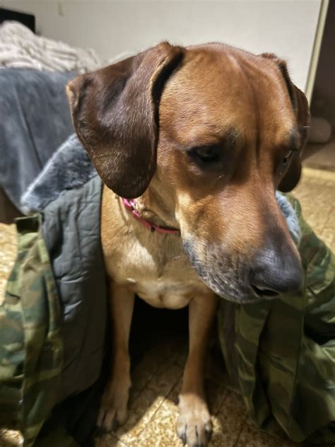 Russian "Flora" Parka – KommandoStore