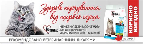 Зоотовары, товары для животных. Зоомагазин Рыжий Кот