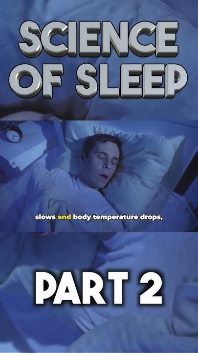 The Science Of Sleep Part 2 Shorts Youtube