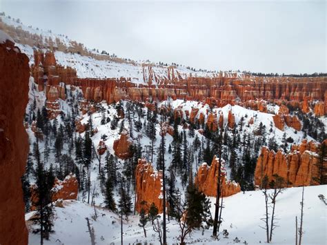 Journeys: Bryce Canyon, Utah - Snowshoeing