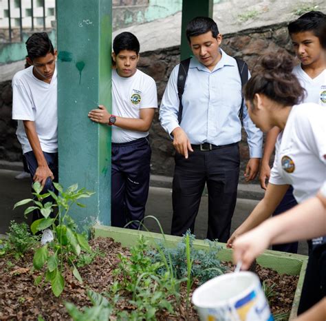 Climate Education and Leadership | Teach For All