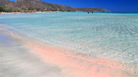 Excursión De Un Día A La Playa De Arena Rosa De Elafonisi Con Servicio