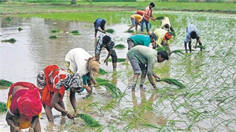 Karnataka Farmers Forced To Buy Tanker Water For Crops Due To Delayed Monsoon Bengaluru