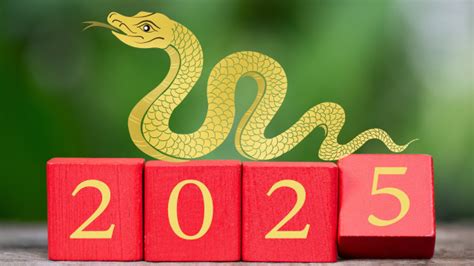 Nouvel An chinois les prédictions pour l année 2025 révélées