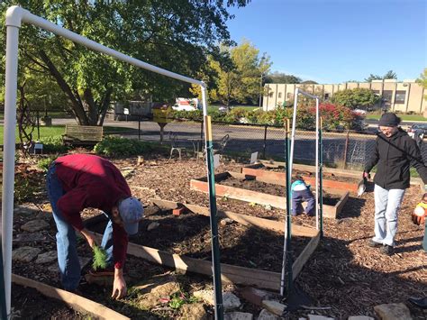 Cbs Community Garden Photos Congregation Beth Shalom