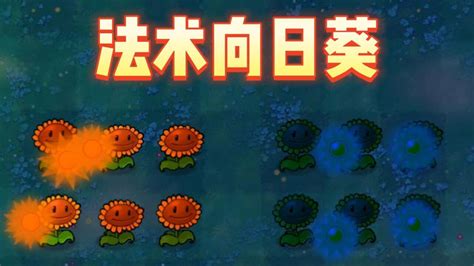 植物大战僵尸cl版：向日葵175阳光一个？法术向日葵？ 腾讯视频