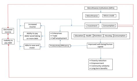 demystifying microfinance  comprehensive overview