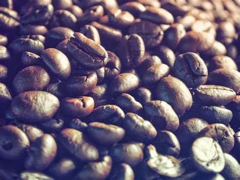 Premium Photo Detail Shot Of Coffee Beans