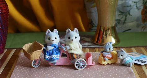 Хаски-близняшки + Брат и сестра хаски на велосипеде Sylvanian Families ...