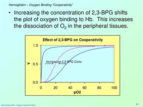 PPT - Oxygen Transport Proteins: Myoglobin & Hemoglobin PowerPoint ...