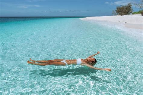 Wilson And Heron Island Southern Great Barrier Reef Australia