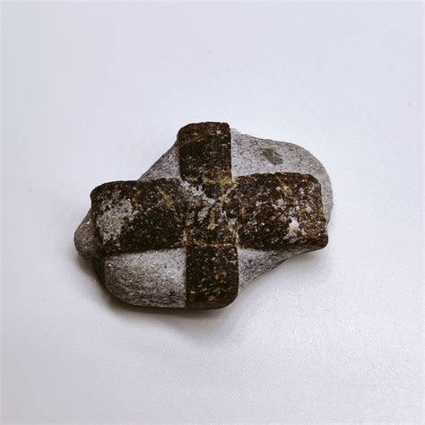 Staurolite In Fine Grained Mica Schist From Keivy Kola Etsy