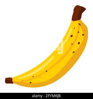 Hand Gezeichnet Obst Banane Vektor Monochromen Abbildung Auf Wei Em