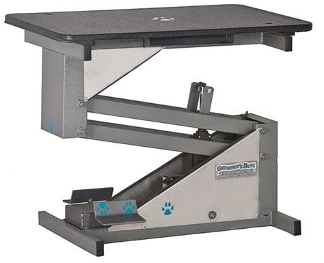 Lifting Grooming Table Groomer S Best Electric