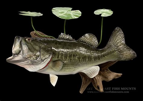 31 Largemouth Bass Fish Mount Replica 366