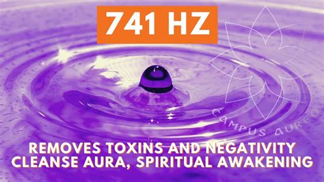 Hz Removes Toxins And Negativity Cleanse Aura Spiritual Awakening