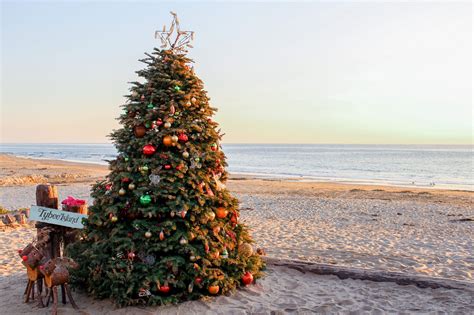 Christmas Tree At The Beach In Newport At Crystal Cove, Californ ...