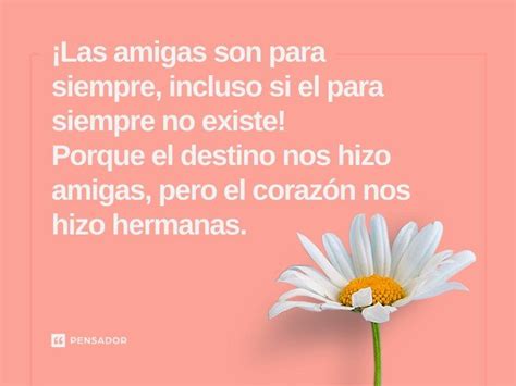 81 Frases Para Amigas Que Demuestran Cariño Y Amistad Pensador