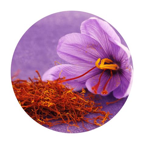 Kumkumadi Thailam - Healing Through Ayurveda