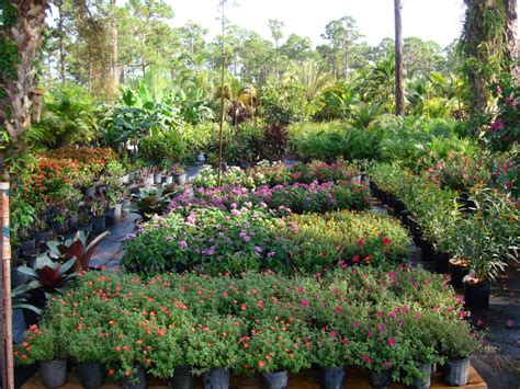 Bongard Landscaping- Our Nursery and On-site Grown Plants