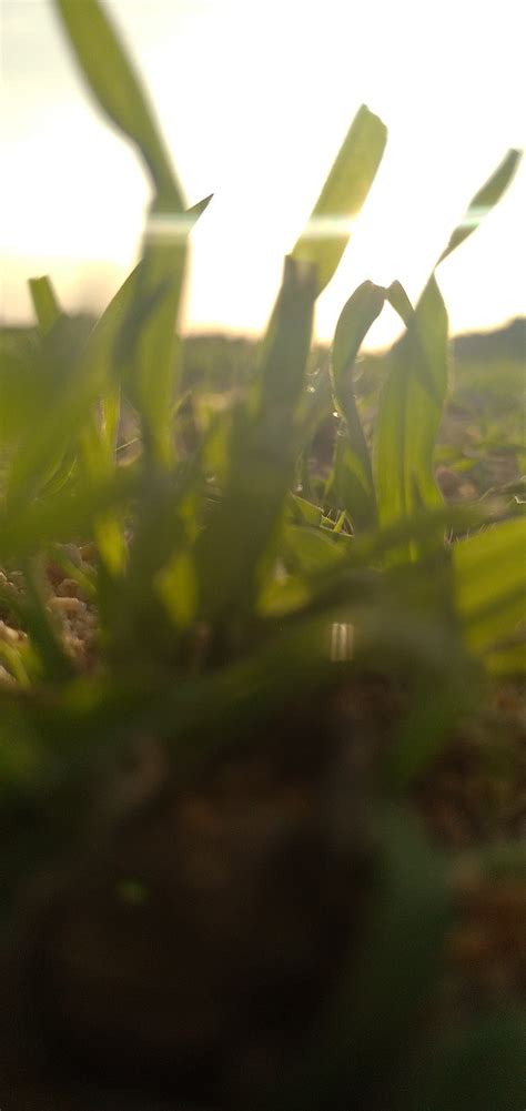 Grassland Green Greenhouse Free Photo On Pixabay Pixabay