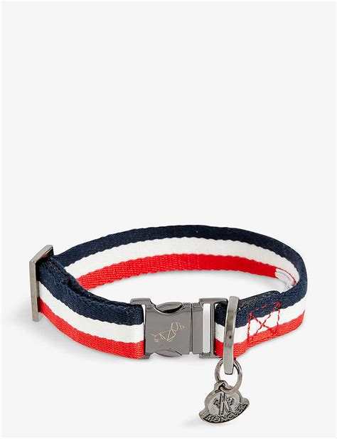 35+ Chic Designer Dog Collars To Shop For Your Pup