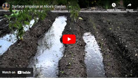 Surface Irrigation System [How To Install And You Need To Know ...