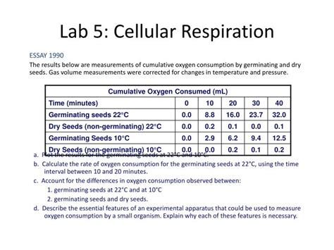 PPT Lab 5 Cellular Respiration PowerPoint Presentation ID 6431382