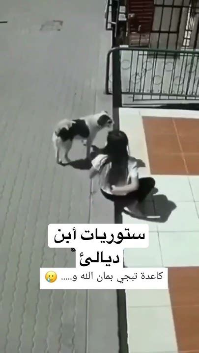 كاعد تبجي بأمان اإآلله ♥️😻⇣ֆء͡ Youtube