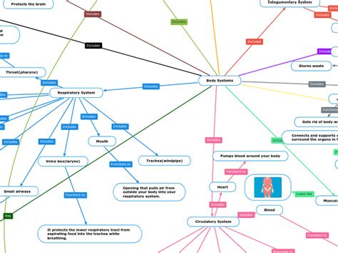 Body Systems Tankekarta Exempel