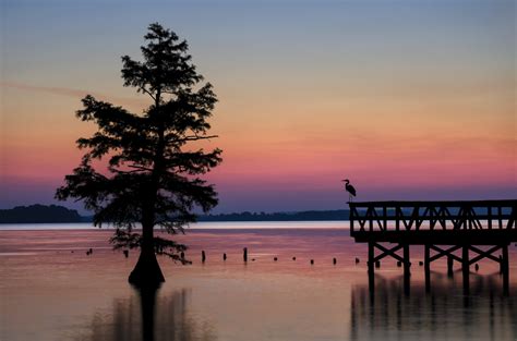 The 15 Best Fishing Lakes in Tennessee