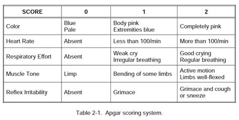 Printable Apgar Score Chart