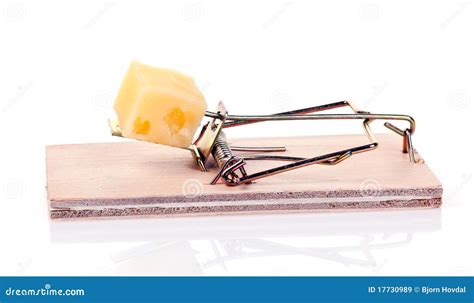 Mouse Trap Royalty-Free Stock Photo | CartoonDealer.com #15901215