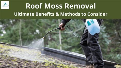 roof moss removal   benefits methods  focus