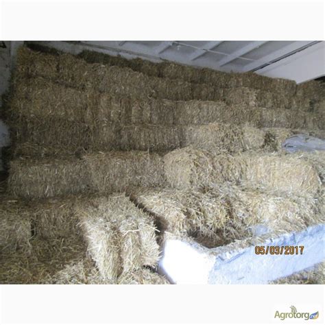 Продам солому пшеничну в тюках — Agrotorg