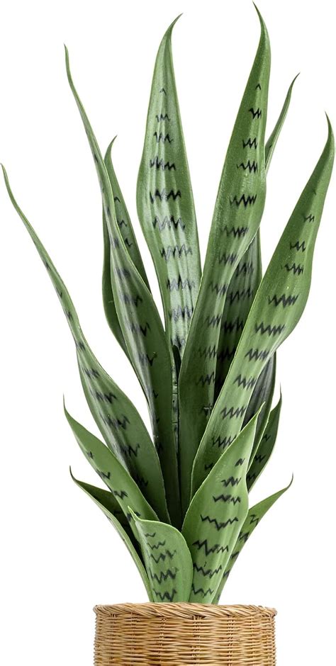 Sukh Faux Snake Plant Artificial Plant Artificial Snake