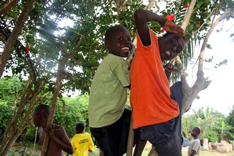 A Goat Farm In Ghana