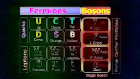 Fermions, Bosons, Hadrons: A Crash Course on Particle Terminology - YouTube