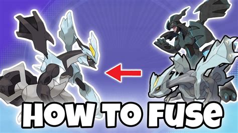 How To Fuse Zekrom With Kyurem Pokemon Scarlet And Violet Youtube